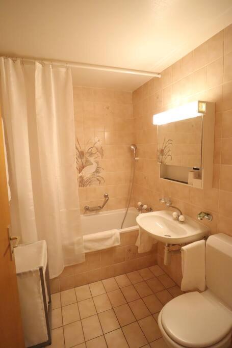 Comfortable, Very Well Located Between Train Station And Lake! Lausanne Eksteriør billede